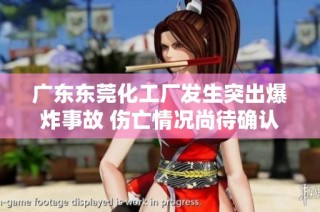 广东东莞化工厂发生突出爆炸事故 伤亡情况尚待确认