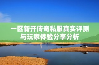 一区新开传奇私服真实评测与玩家体验分享分析