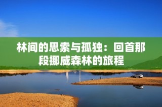林间的思索与孤独：回首那段挪威森林的旅程