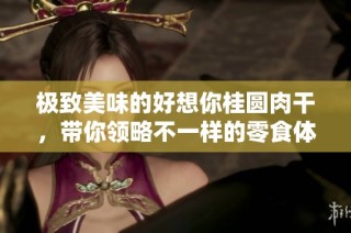 极致美味的好想你桂圆肉干，带你领略不一样的零食体验