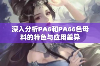 深入分析PA6和PA66色母料的特色与应用差异