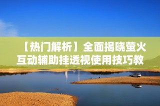 【热门解析】全面揭晓萤火互动辅助挂透视使用技巧教程