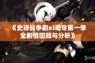 《史诗战争剧xl司令第一季全剧情回顾与分析》