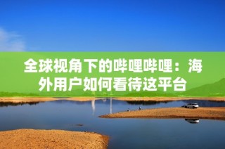 全球视角下的哔哩哔哩：海外用户如何看待这平台