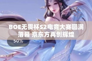 BOE无畏杯S2电竞大赛圆满落幕 京东方再创辉煌