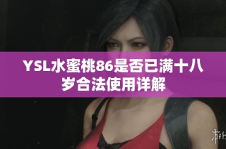 YSL水蜜桃86是否已满十八岁合法使用详解