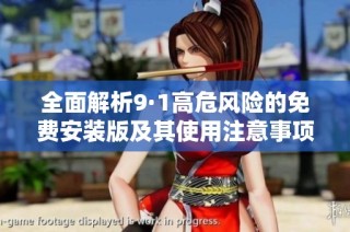 全面解析9·1高危风险的免费安装版及其使用注意事项