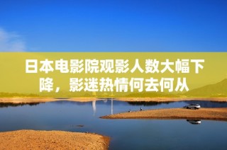 日本电影院观影人数大幅下降，影迷热情何去何从