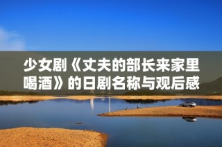 少女剧《丈夫的部长来家里喝酒》的日剧名称与观后感分享