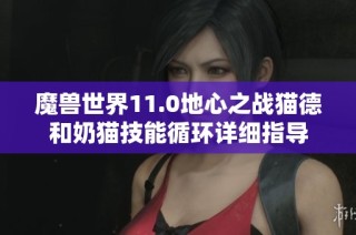 魔兽世界11.0地心之战猫德和奶猫技能循环详细指导