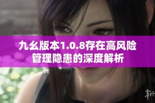 九幺版本1.0.8存在高风险管理隐患的深度解析