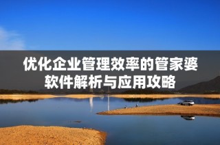 优化企业管理效率的管家婆软件解析与应用攻略