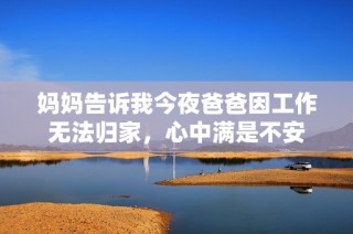妈妈告诉我今夜爸爸因工作无法归家，心中满是不安