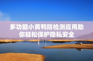 多功能小黄鸭防检测应用助你轻松保护隐私安全