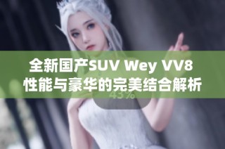 全新国产SUV Wey VV8 性能与豪华的完美结合解析