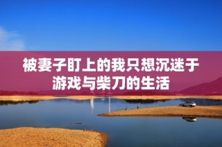 被妻子盯上的我只想沉迷于游戏与柴刀的生活