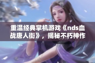 重温经典掌机游戏《nds血战唐人街》，揭秘不朽神作的秘籍与魅力