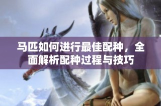 马匹如何进行最佳配种，全面解析配种过程与技巧