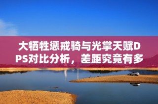 大牺牲惩戒骑与光掌天赋DPS对比分析，差距究竟有多大