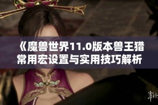 《魔兽世界11.0版本兽王猎常用宏设置与实用技巧解析》