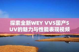 探索全新WEY VV5国产SUV的魅力与性能表现视频解析