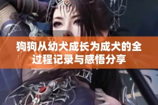 狗狗从幼犬成长为成犬的全过程记录与感悟分享