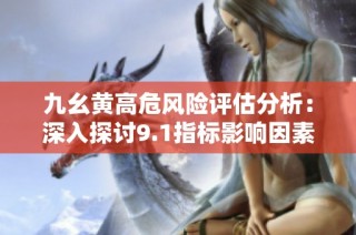 九幺黄高危风险评估分析：深入探讨9.1指标影响因素
