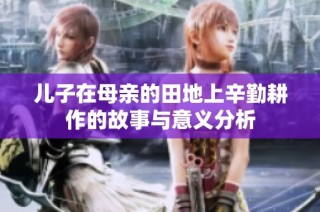 儿子在母亲的田地上辛勤耕作的故事与意义分析