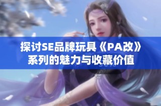 探讨SE品牌玩具《PA改》系列的魅力与收藏价值