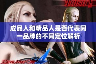 成品人和精品人是否代表同一品牌的不同定位解析