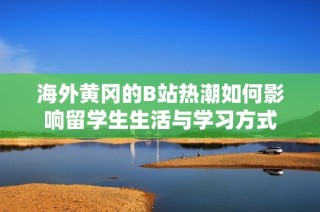 海外黄冈的B站热潮如何影响留学生生活与学习方式