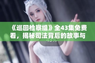 《巡回检察组》全43集免费看，揭秘司法背后的故事与真相