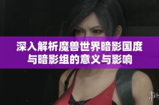 深入解析魔兽世界暗影国度与暗影组的意义与影响