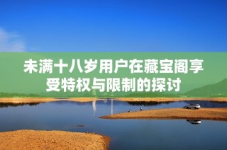 未满十八岁用户在藏宝阁享受特权与限制的探讨