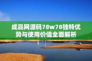成品网源码78w78独特优势与使用价值全面解析