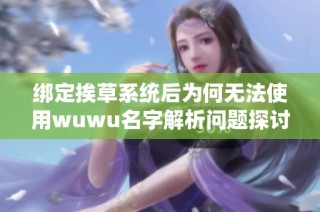 绑定挨草系统后为何无法使用wuwu名字解析问题探讨