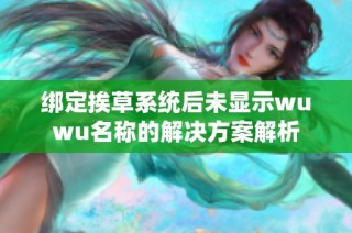 绑定挨草系统后未显示wuwu名称的解决方案解析