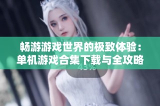 畅游游戏世界的极致体验：单机游戏合集下载与全攻略分享