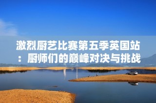 激烈厨艺比赛第五季英国站：厨师们的巅峰对决与挑战