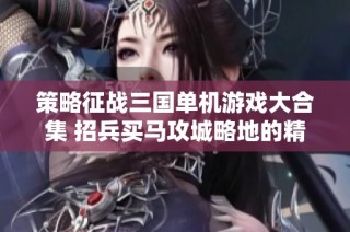 策略征战三国单机游戏大合集 招兵买马攻城略地的精彩体验