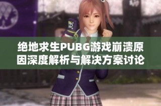 绝地求生PUBG游戏崩溃原因深度解析与解决方案讨论