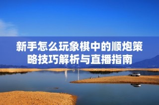 新手怎么玩象棋中的顺炮策略技巧解析与直播指南