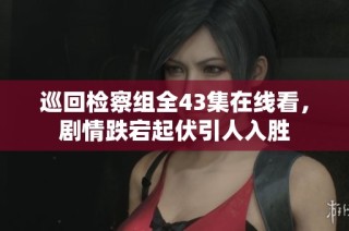 巡回检察组全43集在线看，剧情跌宕起伏引人入胜