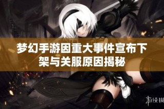 梦幻手游因重大事件宣布下架与关服原因揭秘
