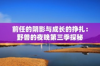 前任的阴影与成长的挣扎：野兽的夜晚第三季探秘