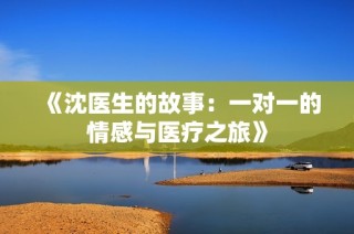 《沈医生的故事：一对一的情感与医疗之旅》