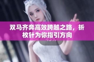 双马齐奔高效跨越之路，折枚针为你指引方向