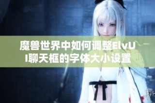 魔兽世界中如何调整ElvUI聊天框的字体大小设置