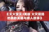 《灭火宝贝3美版 火灾现场的勇敢英雄与感人故事》