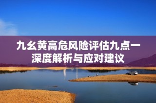 九幺黄高危风险评估九点一深度解析与应对建议